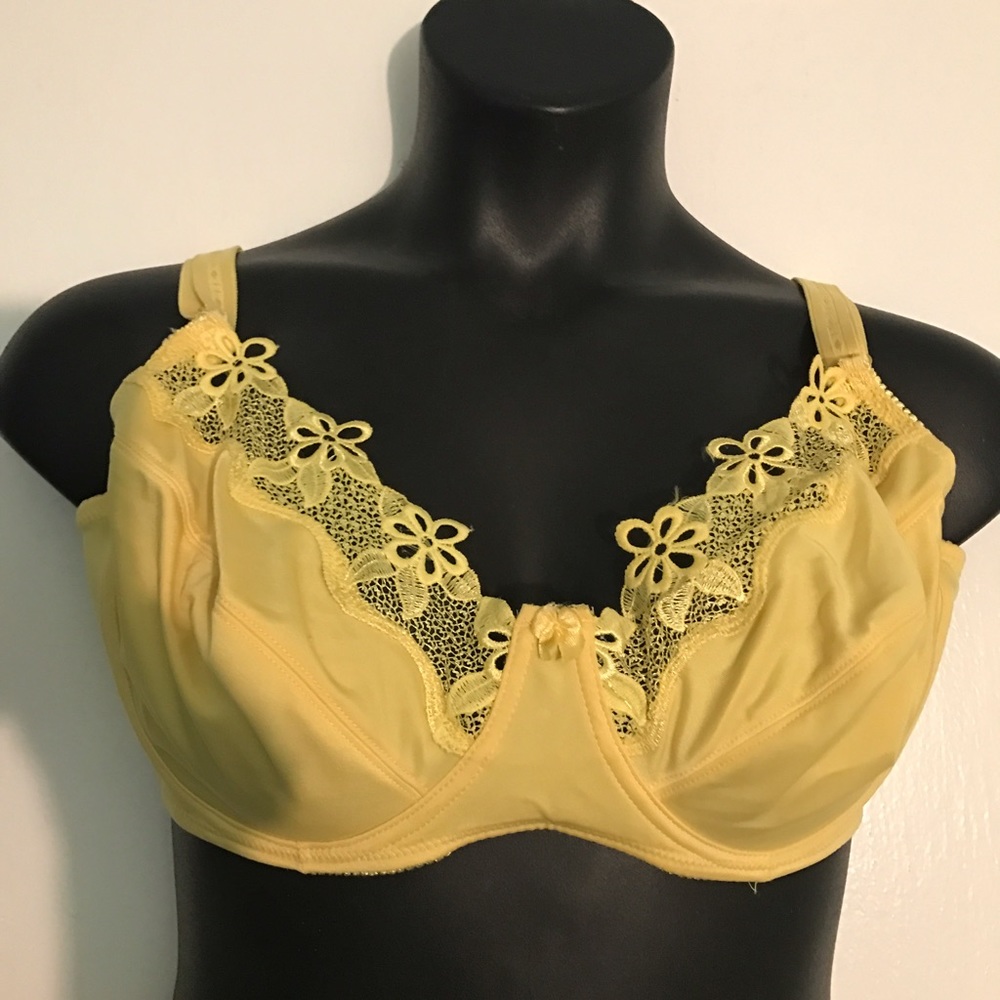 Body Embrace Underwire Full Coverage Bra 42D